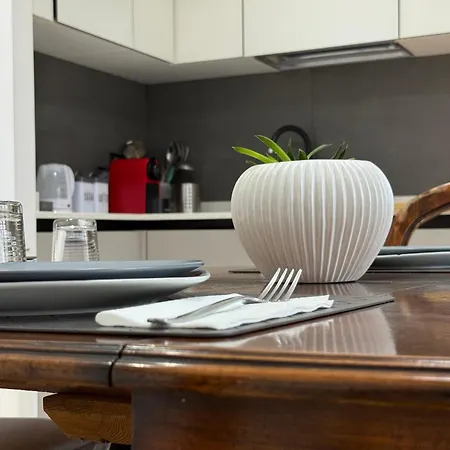 Orlandi Elegant Bolonia